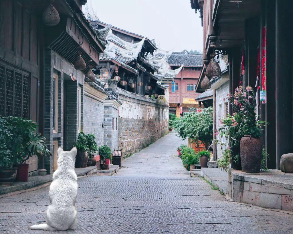 优雅的咖啡店